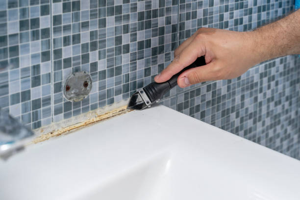Best Commercial Mold Removal  in Wfield, IN