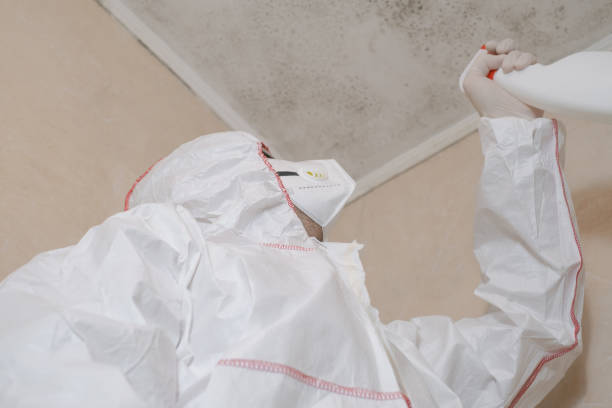 Best Office Mold Removal Services  in Wfield, IN